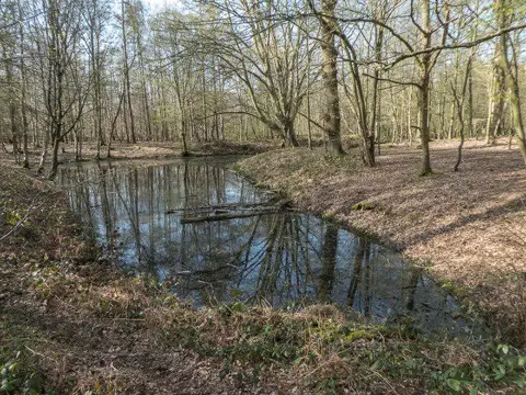 TQ2898 : Camlet Moat, Trent Park, Cockfosters, Hertfordshire