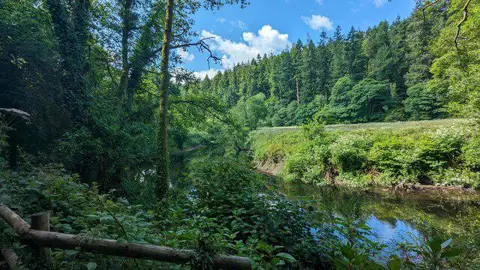 SX0169 : The River Camel near Polbrock
