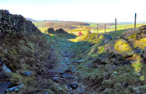 SK0495 : Miners Track