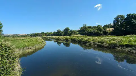 SX0071 : River Camel near Pendavey