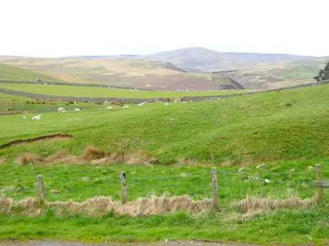 NT9716 : Head of the Ingram valley