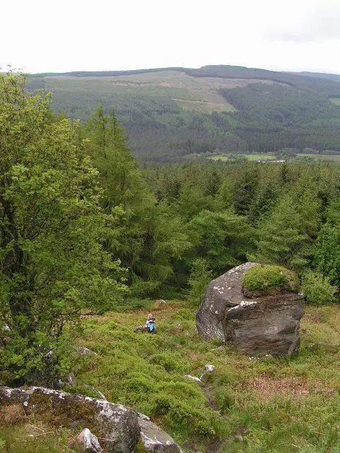 NT7703 : View from Byrness Hill