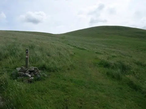 NT8427 : St Cuthbert's Way on the south side of Green Humbelton