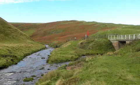 NT8511 : Where river and burn meet
