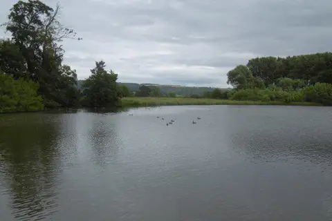 SE5476 : Pond, Newburgh Priory