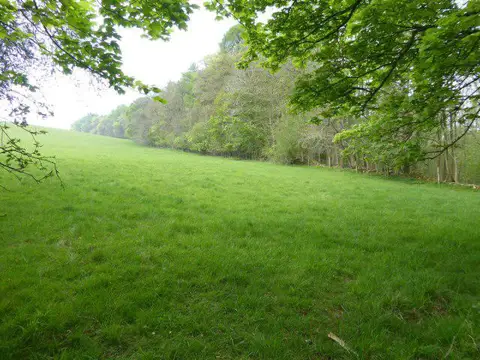 SP0126 : Breakheart Plantation above Corndean Hall