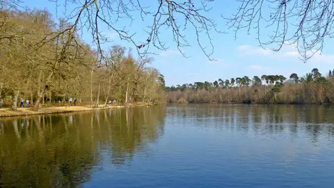 Image shared for Black Park Habitat Trail and Lake Walk