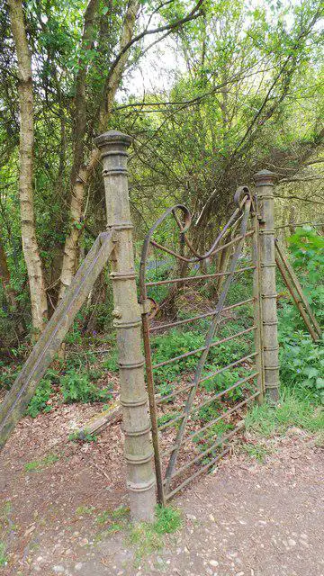 TQ6091 : Iron gate in Thorndon woodland