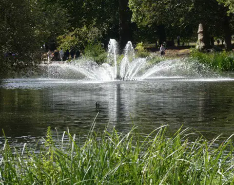 Image shared for St James's Park Lake, Pelicans and The Mall