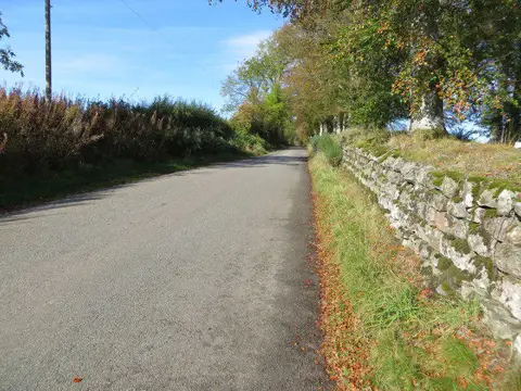 NO7797 : Wall and hedge-lined Couper's Road at Park Smithy