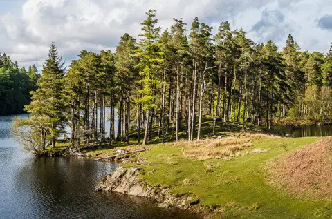 SD3399 : Tarn Hows