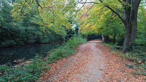 Image shared for Frimley Lodge Park to Mytchett Lake and Great Bottom Flash