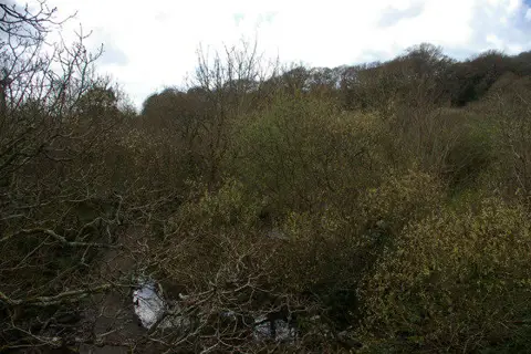 SW6526 : Path across the Loe Valley