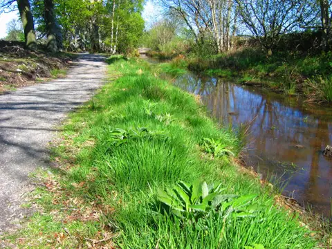 Image shared for Milton of Crathes to Drumoak: Deeside Way return
