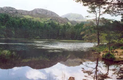 Image shared for Beddgelert Forest: Derwen Circuit and Llyn Llywelyn