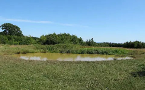 TQ6191 : Small Pond
