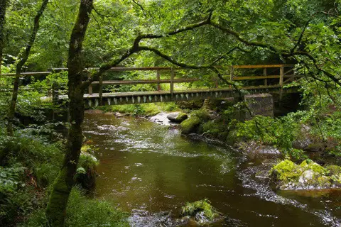 Image shared for Lynmouth, Watersmeet and Ash Bridge woodland circuit