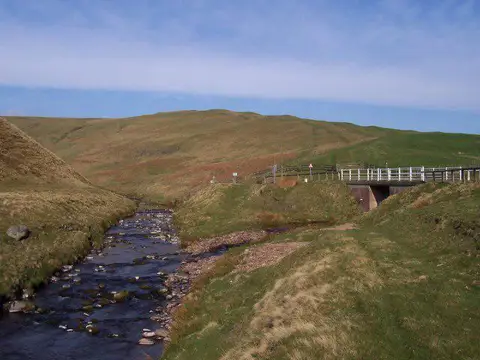 NT8511 : White Bridge
