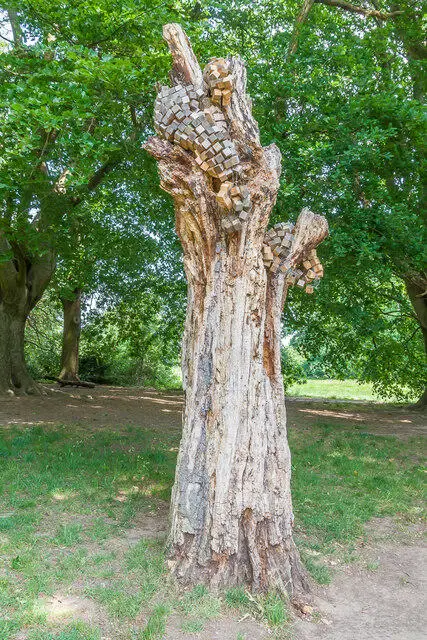 TQ2786 : Tree art