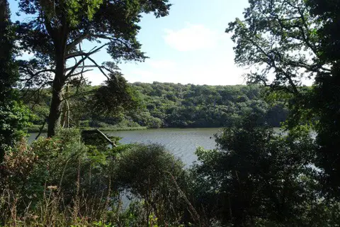 Image shared for Helston to southern Loe Pool: Penrose lakeside woodland walk