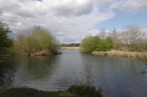 Image shared for Lee Valley Waterbird Discovery Trail: Cheshunt to Grebe Hide