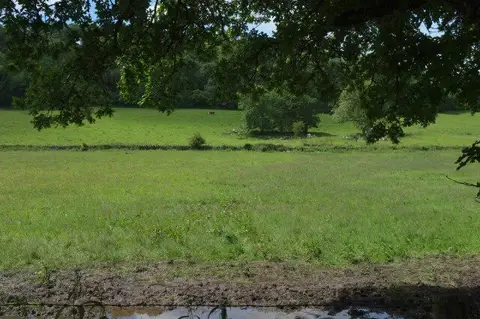 SX7784 : Sheep pasture by Huntingpark Wood