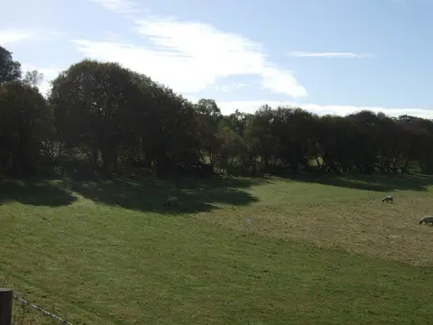 NZ0286 : Farmland near the former Wansbeck Valley Railway 