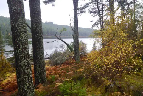NH6490 : Loch Migdale in the rain
