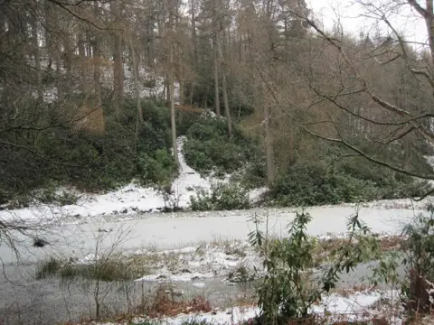 NY8063 : Morralee Tarn, Allen Banks (NT)