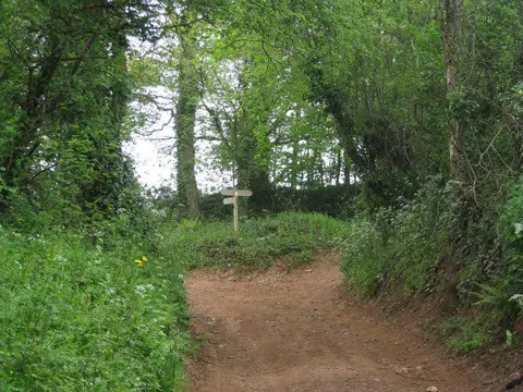 SS9942 : Path/track junction on the edge of Dunster Park