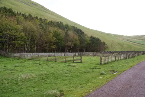 NT8611 : Sheep pens in Upper Coquetdale