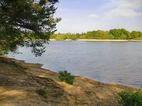 SU8541 : Frensham Little Pond: view from the west side (2)