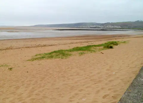SS4999 : Tufts of grass on the beach, Llanelli