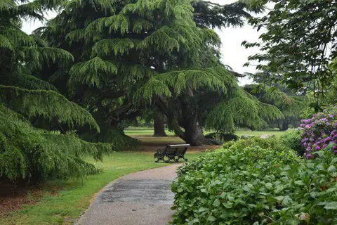 TQ3977 : In the flower garden, Greenwich Park