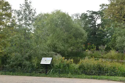 TQ2882 : Queen Mary Gardens