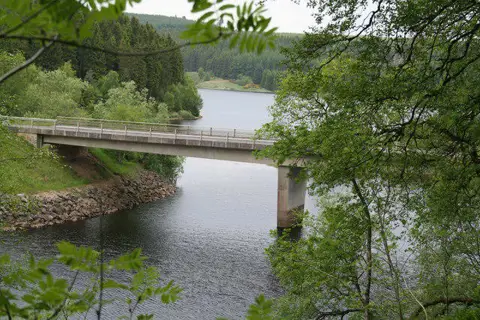 NY6490 : Lewis Burn
