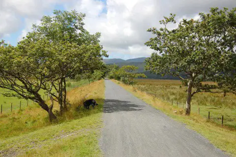 SH6818 : The Mawddach Trail past Penmaenpool