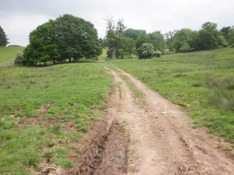 SS9942 : Track, through Dunster Deer Park