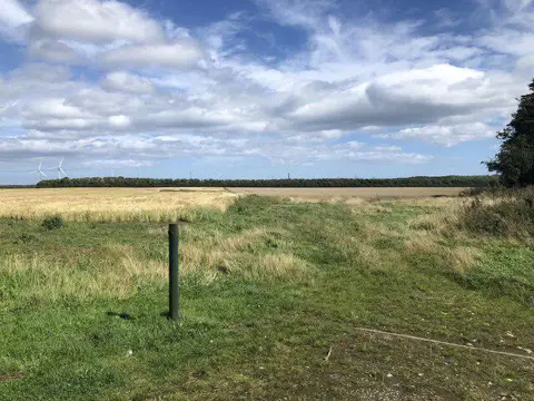 NZ2788 : Arable land, Woodhorn Moor