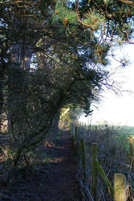 SP5606 : Footpath to Sandhills