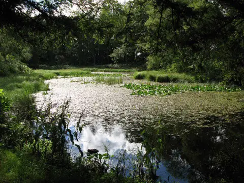 NY8063 : Morralee Tarn reflections