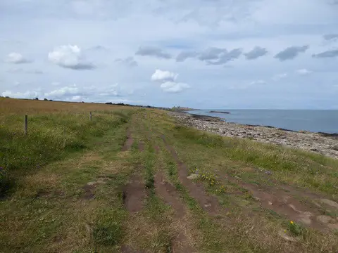 NU2618 : On the coastal path south of Craster