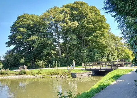 ST2788 : Feeding the ducks, Fourteen Locks, Newport