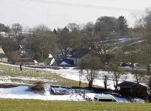 ST5251 : The dog likes the snow