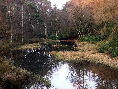 NY8063 : Morralee Tarn