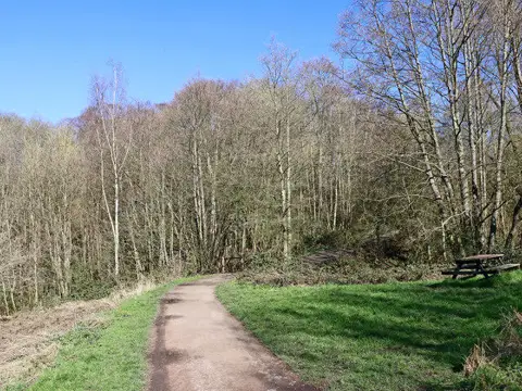 Image shared for Baggeridge Country Park: Bag Pool, Wishing Pools and woodland circuit
