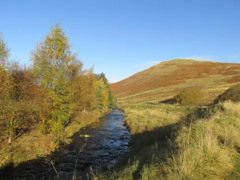 NT8610 : The River Coquet at Barrowburn.