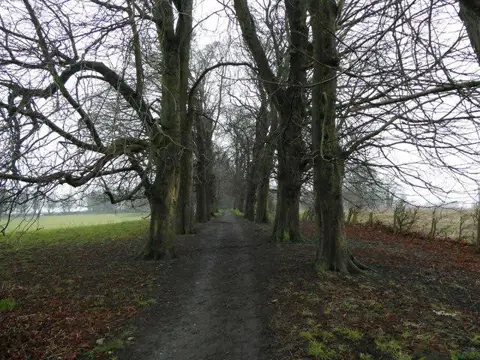 Image shared for Benthall Hall: chestnut avenue and meadow circuit