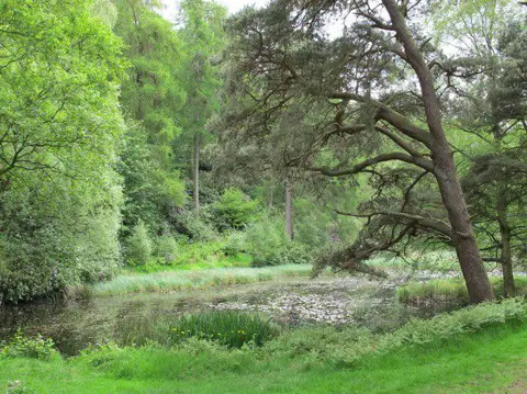 NY8063 : Morralee Tarn