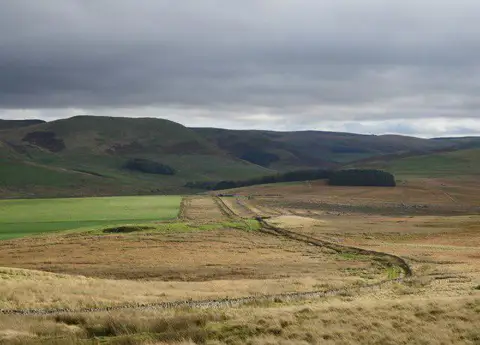 NT7515 : Dere Street from Black Knowe